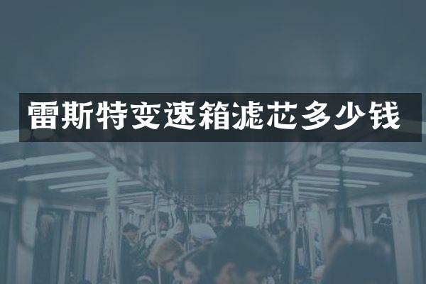 雷斯特变速箱滤芯多少钱
