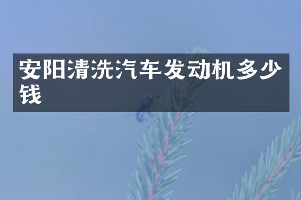 安阳清洗汽车发动机多少钱
