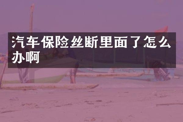 汽车保险丝断里面了怎么办啊