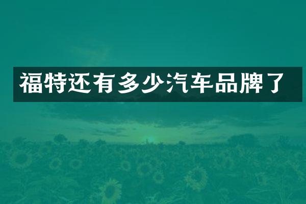 福特还有多少汽车品牌了