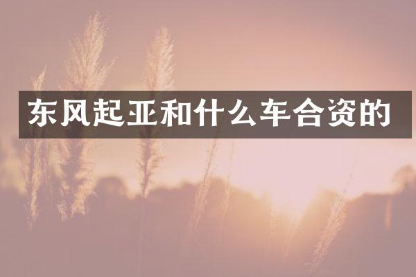 东风起亚和什么车合资的