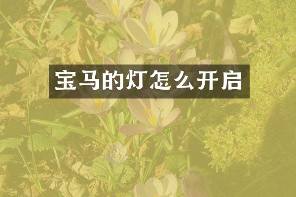 宝马的灯怎么开启