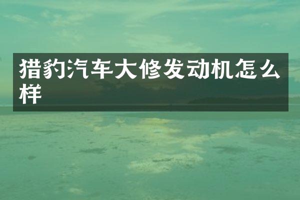 猎豹汽车大修发动机怎么样