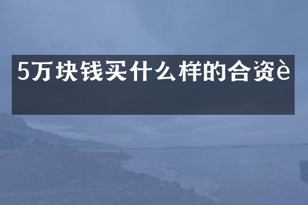 5万块钱样的合资车