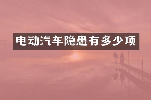 电动汽车隐患有多少项