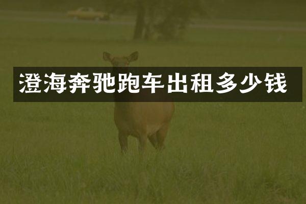 澄海奔驰跑车出租多少钱