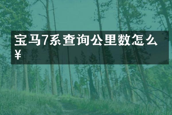 宝马7系查询公里数怎么查