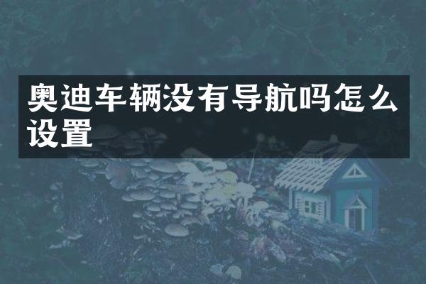 奥迪车辆没有导航吗怎么设置