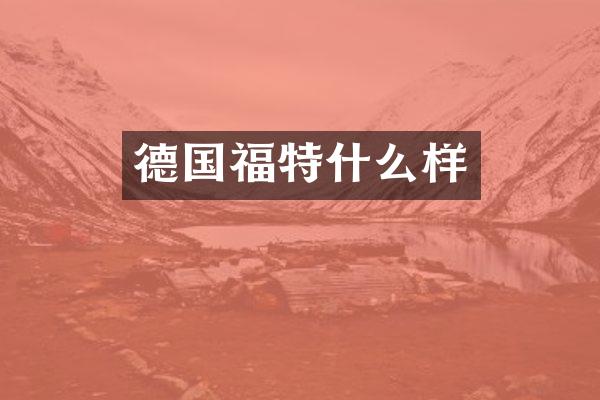 德国福特什么样