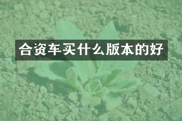 合资车版本的好