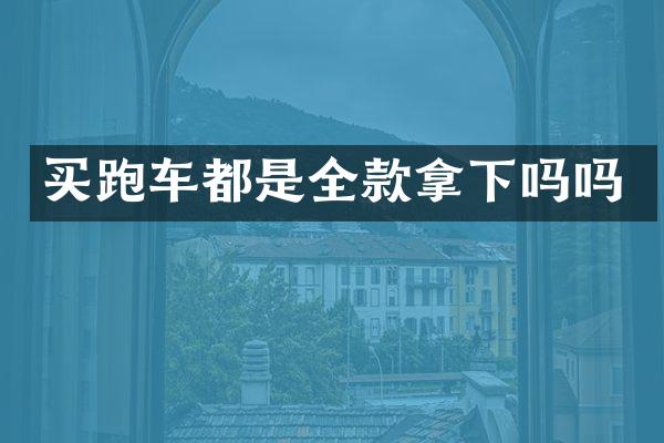 买跑车都是全款拿下吗吗