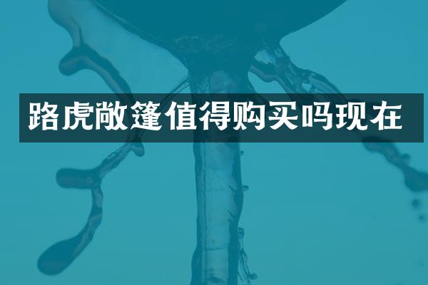 路虎敞篷值得购买吗现在