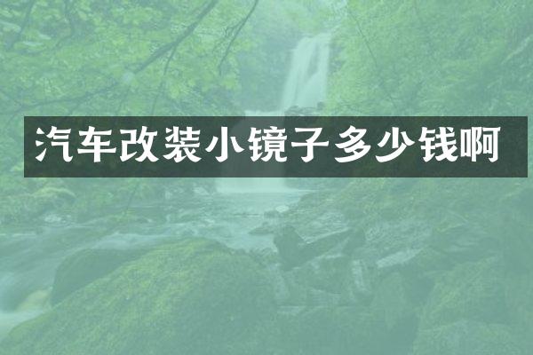 汽车改装小镜子多少钱啊