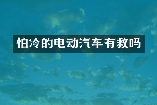 怕冷的电动汽车有救吗
