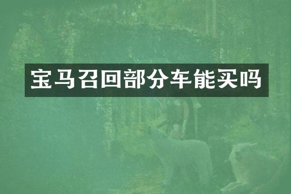 宝马召回部分车能买吗