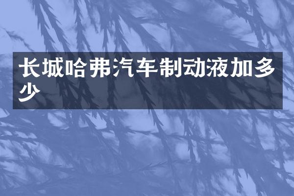 长城哈弗汽车制动液加多少
