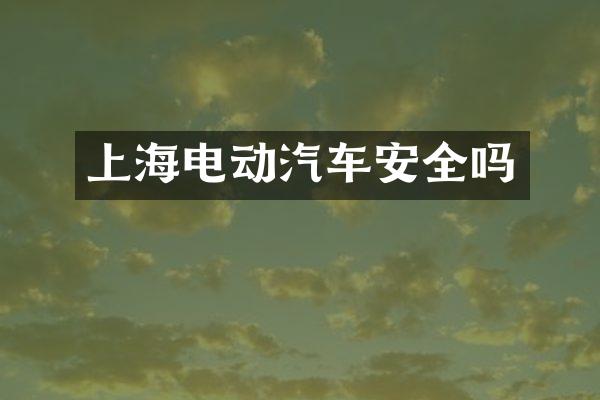 上海电动汽车安全吗