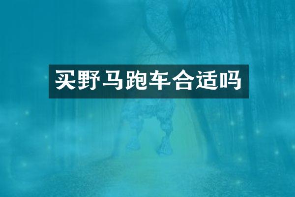 买野马跑车合适吗