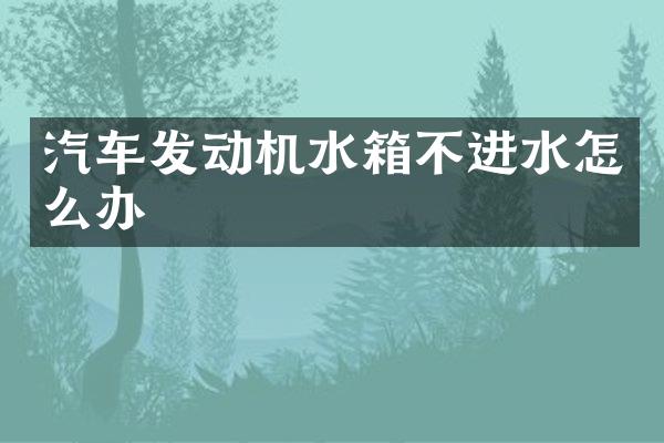 汽车发动机水箱不进水怎么办