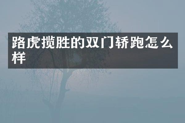 路虎揽胜的双门轿跑怎么样