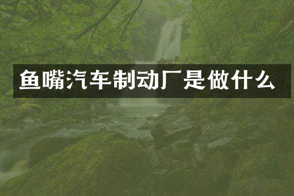 鱼嘴汽车制动厂是做什么