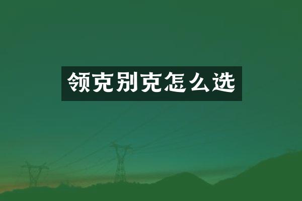 领克别克怎么选