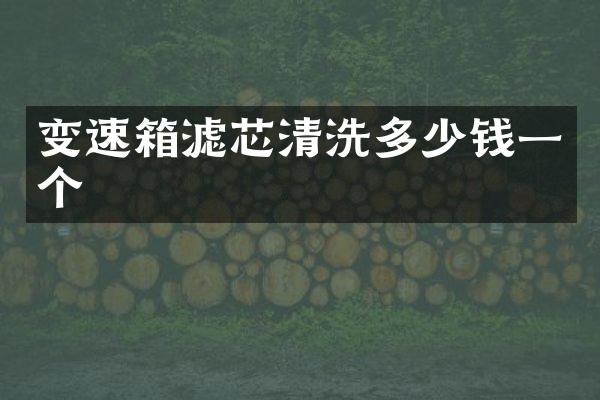 变速箱滤芯清洗多少钱一个