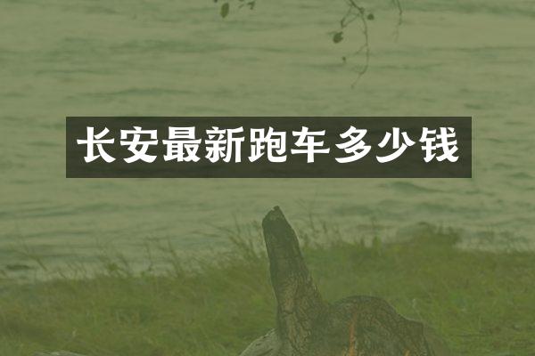长安最新跑车多少钱