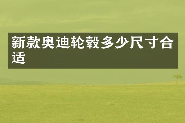 新款奥迪轮毂多少尺寸合适
