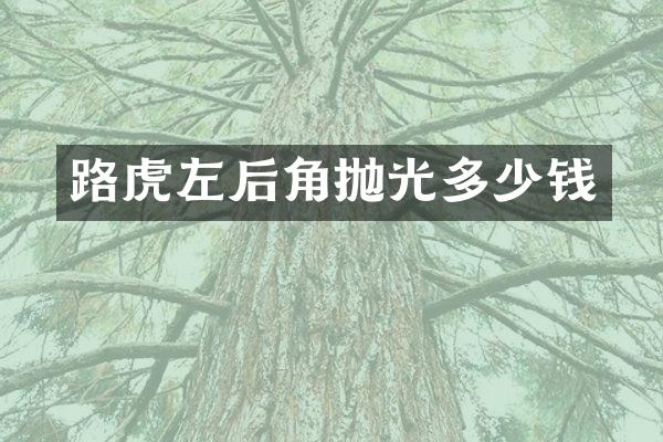 路虎左后角抛光多少钱