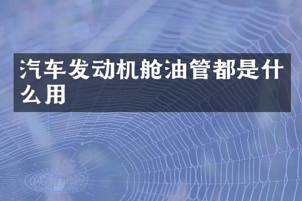 汽车发动机舱油管都是什么用