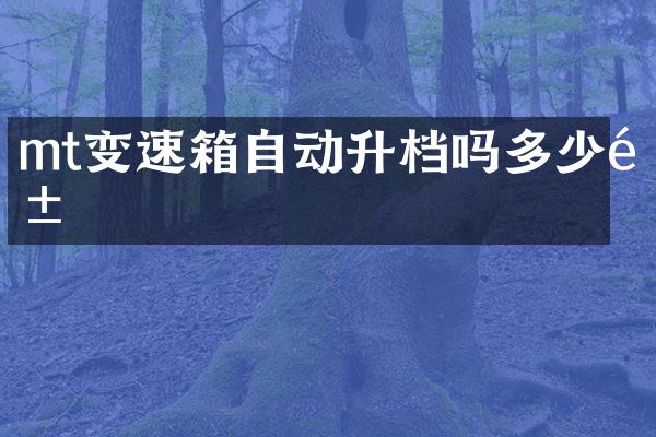 mt变速箱自动升档吗多少钱