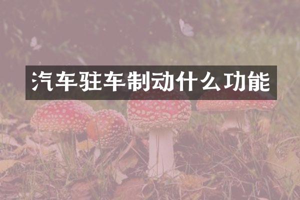 汽车驻车制动什么功能