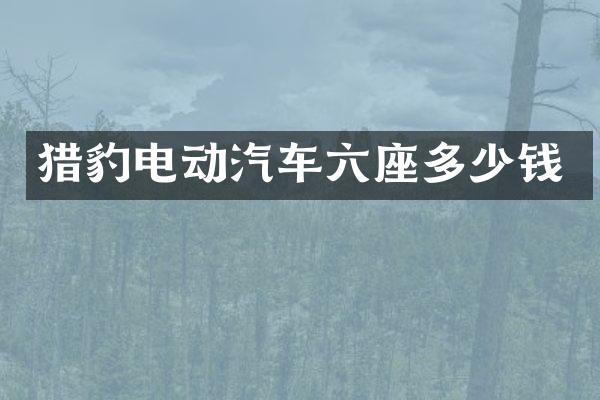 猎豹电动汽车六座多少钱