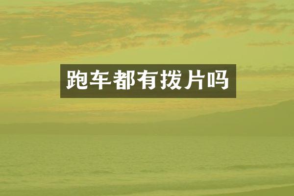 跑车都有拨片吗