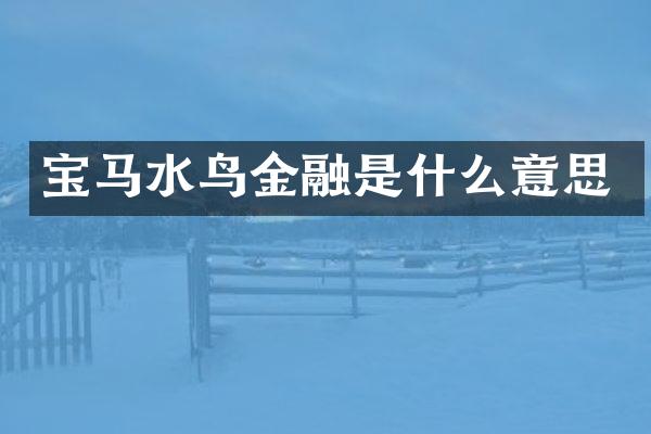 宝马水鸟金融是什么意思