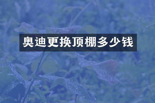 奥迪更换顶棚多少钱