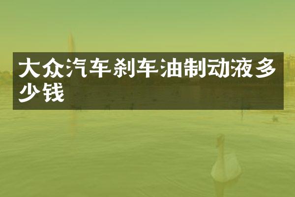大众汽车刹车油制动液多少钱