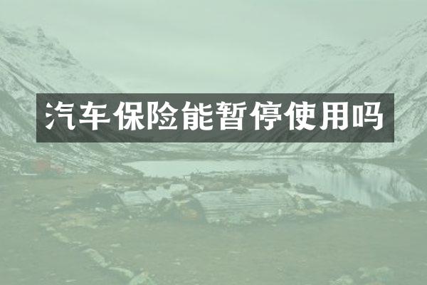 汽车保险能暂停使用吗