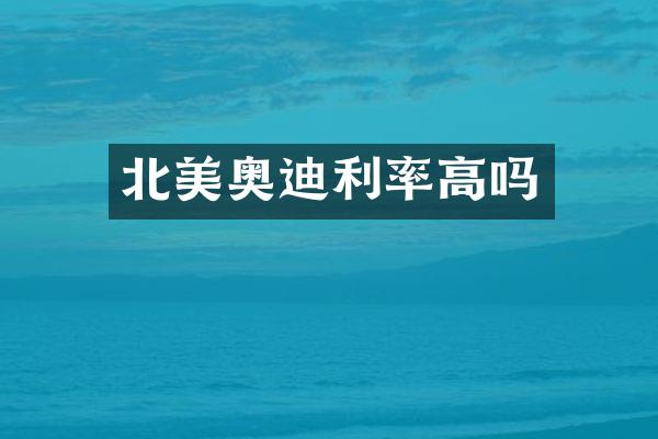 北美奥迪利率高吗