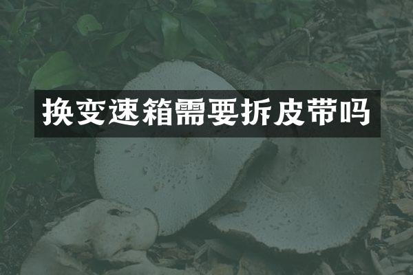 换变速箱需要拆皮带吗