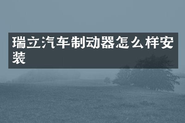 瑞立汽车制动器怎么样安装