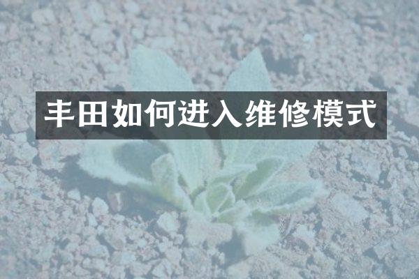 丰田如何进入维修模式