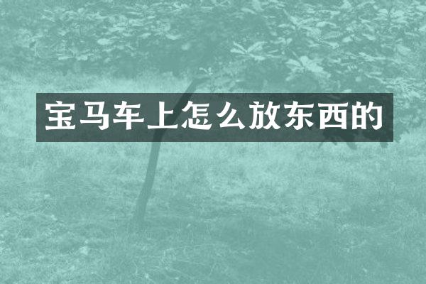 宝马车上怎么放东西的