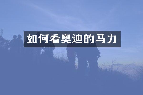 如何看奥迪的马力