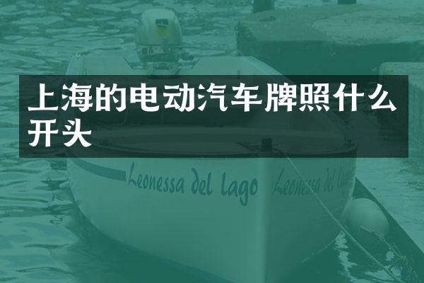 上海的电动汽车牌照什么开头
