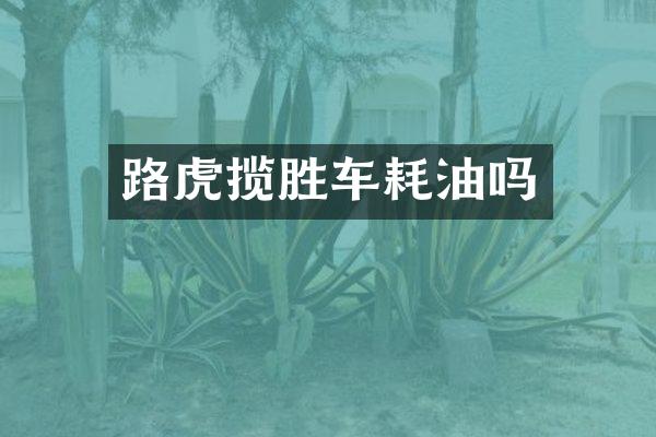 路虎揽胜车耗油吗