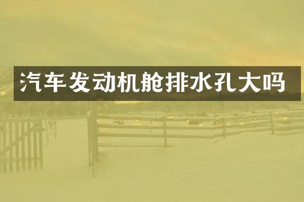 汽车发动机舱排水孔大吗