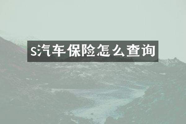 s汽车保险怎么查询