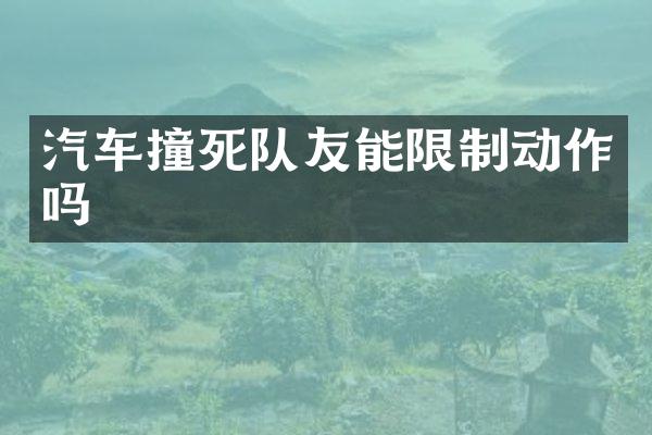 汽车撞死队友能限制动作吗